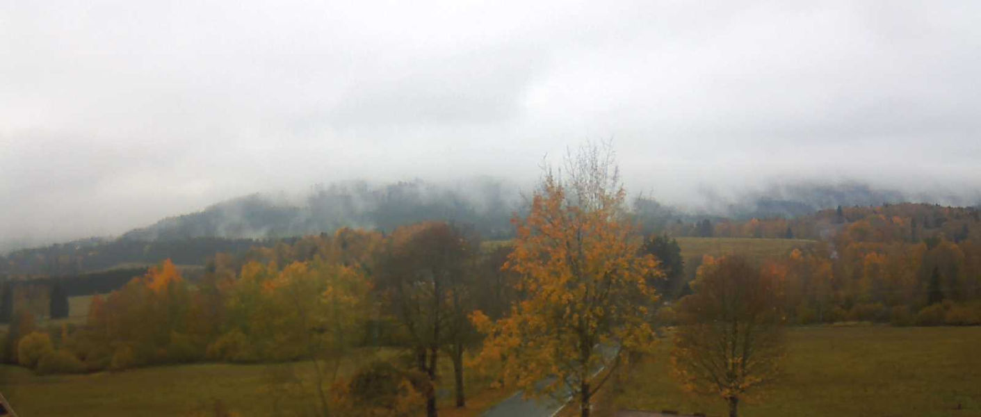 Srní - Gestern