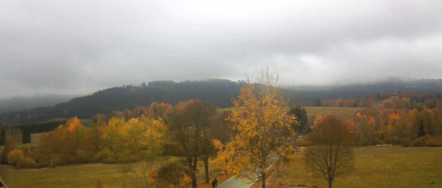 Srní - Webcams