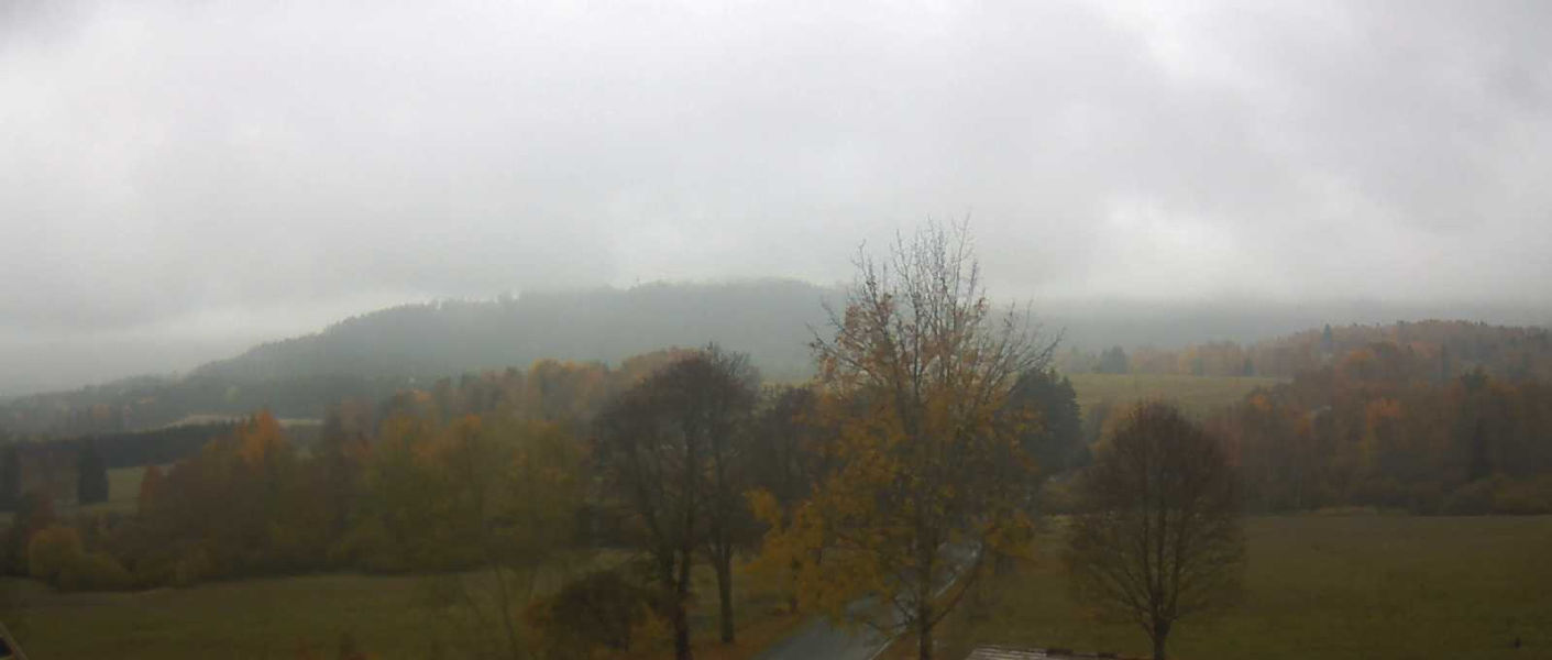 Srní - Webcams