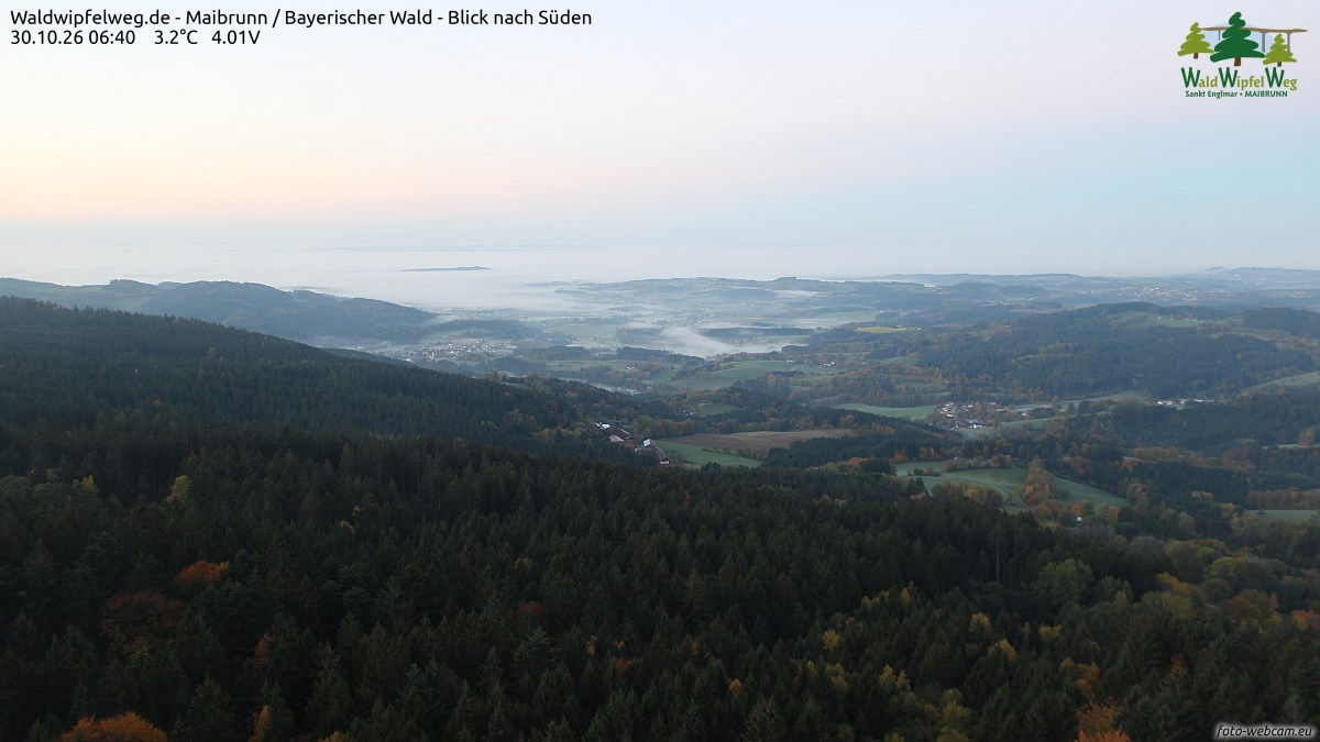 Waldwipfelweg - Yesterday