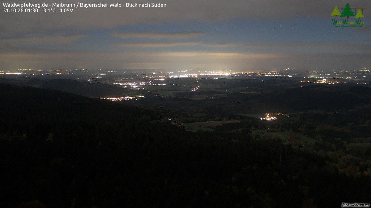 Waldwipfelweg - Webcams