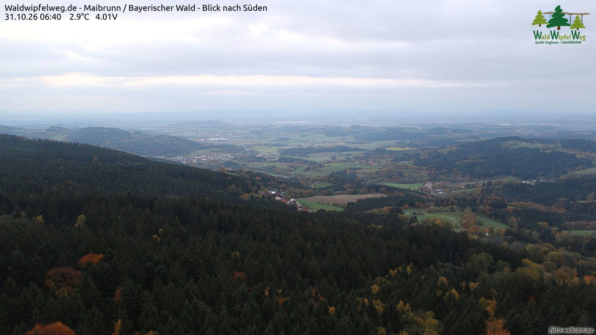 Waldwipfelweg - Webcams
