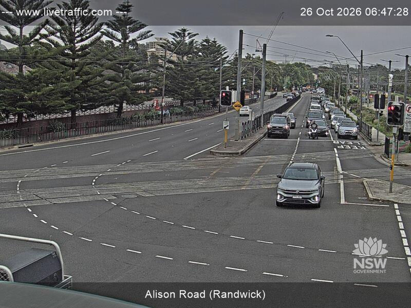 Alison Road (Randwick) - Yesterday