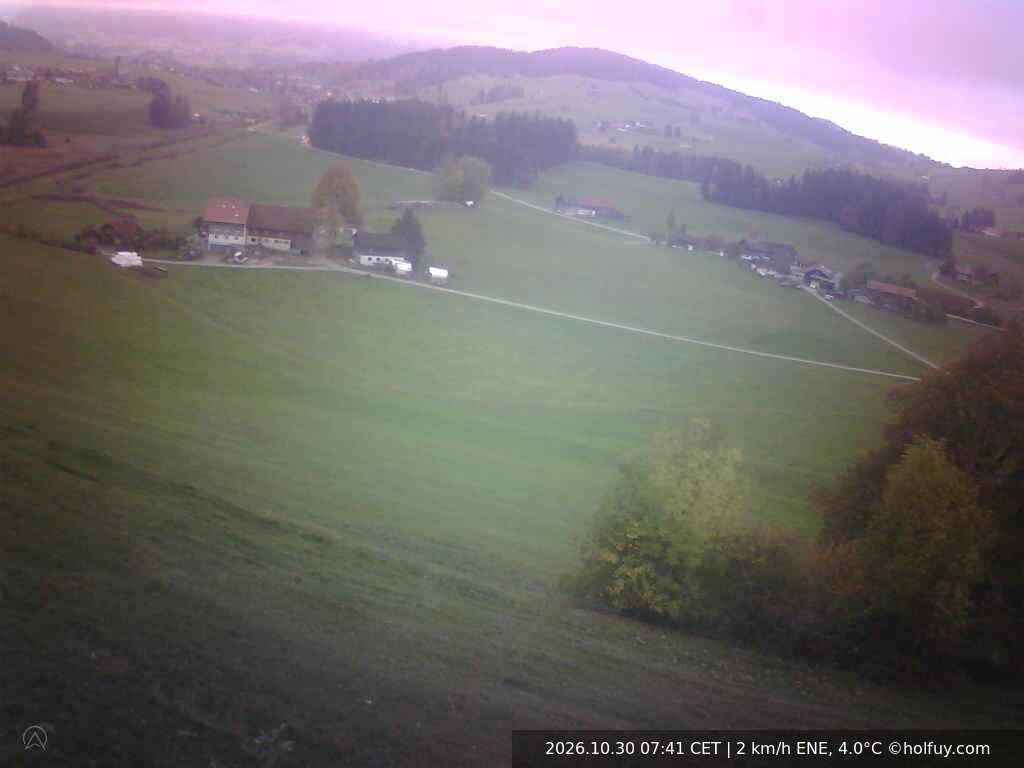 Finkennest - Webcams