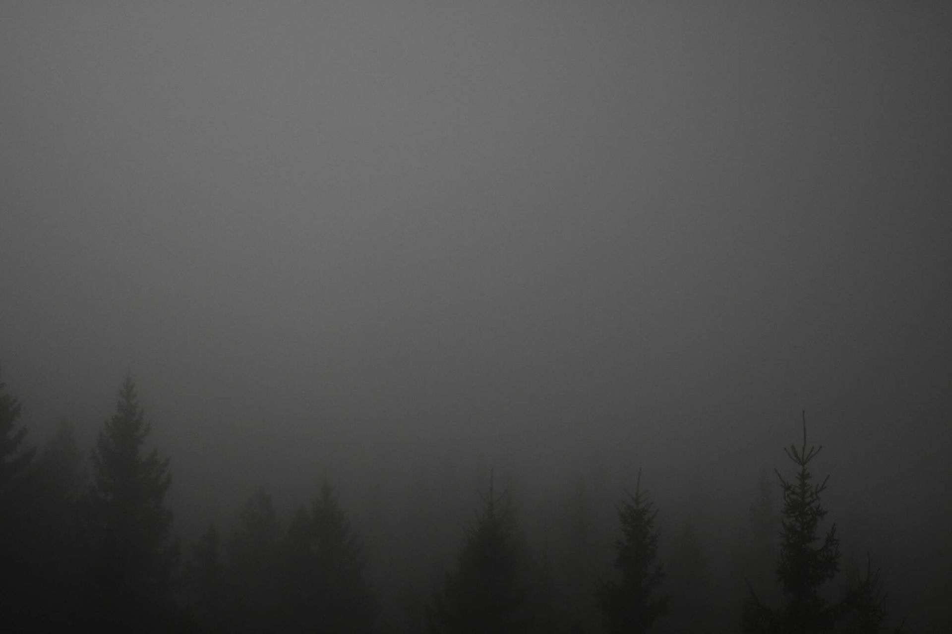Vethammaren - Webcams