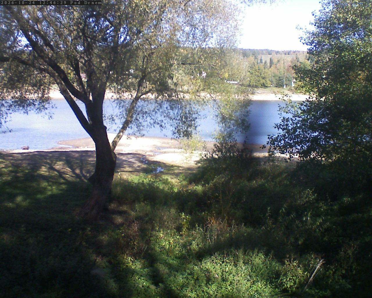 Seč - Pod Drnem - Yesterday