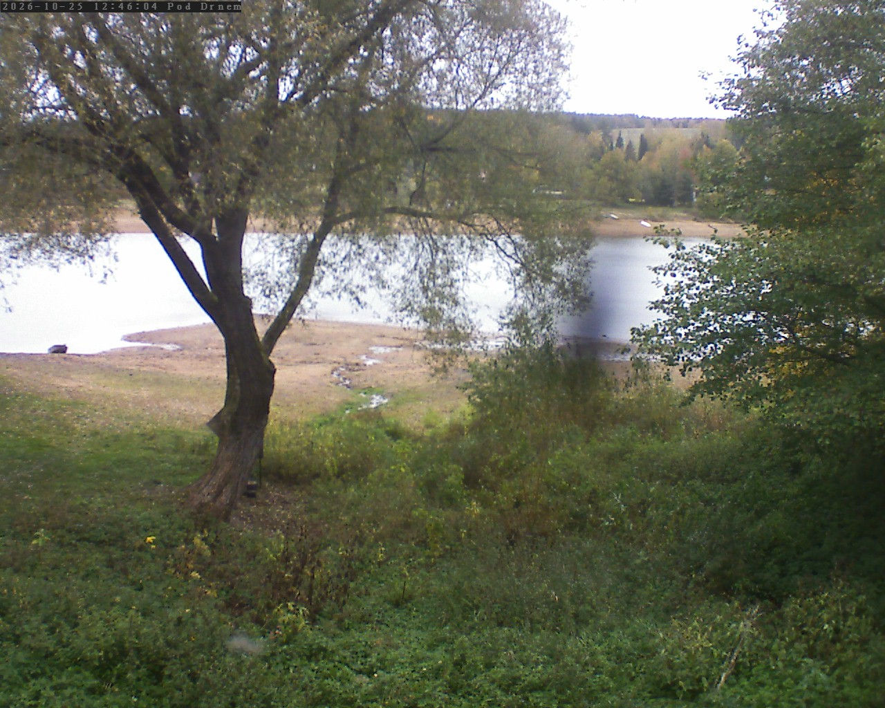 Seč - Pod Drnem - Webcams