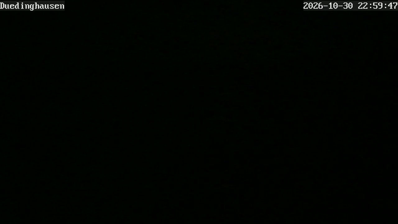 MedebachDüdinghausen - Webcams