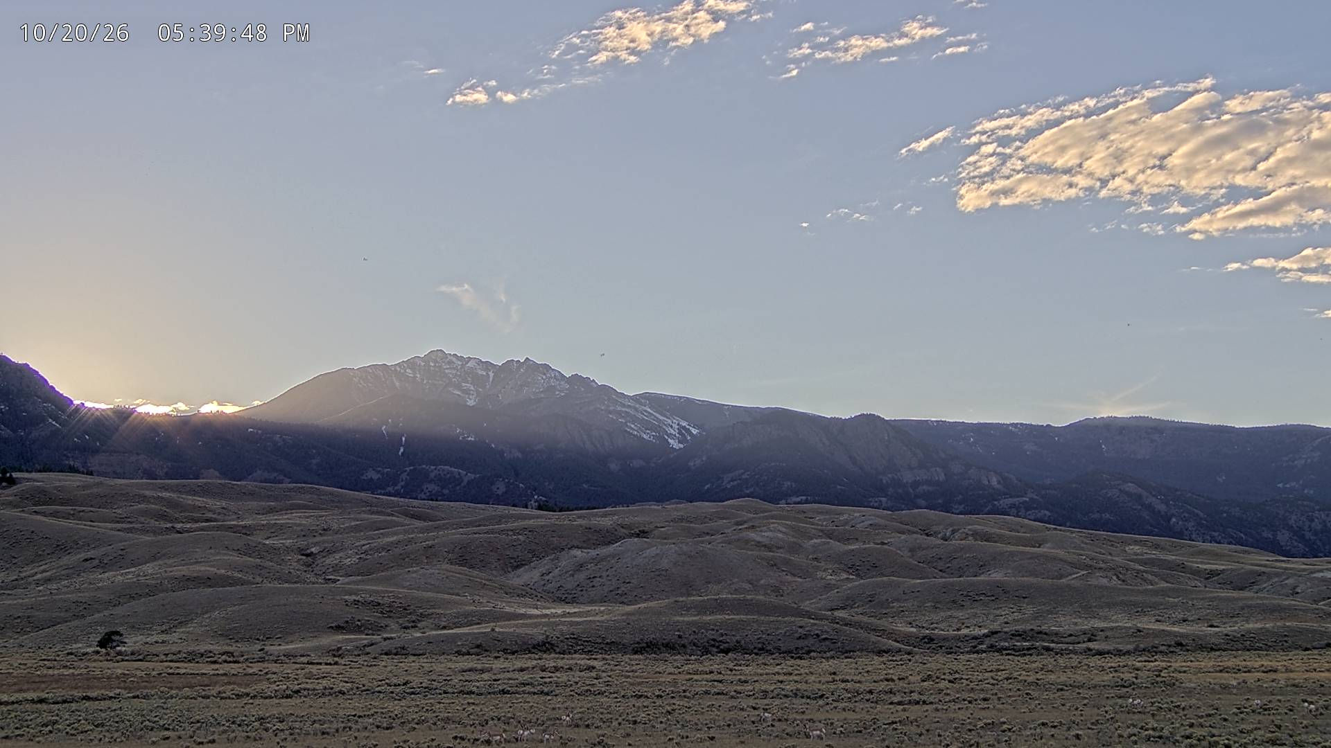 Yellowstone National Park North Entrance - Electric Peak - Webcams