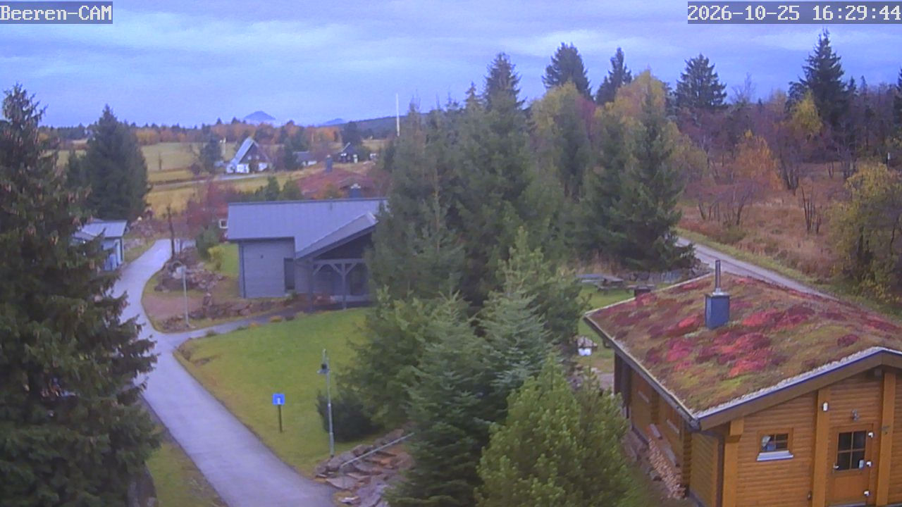 Webcam Zinnwald-Georgenfeld - Webcams