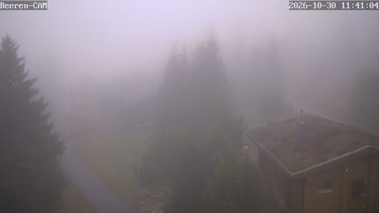 Webcam Zinnwald-Georgenfeld - Webkamery