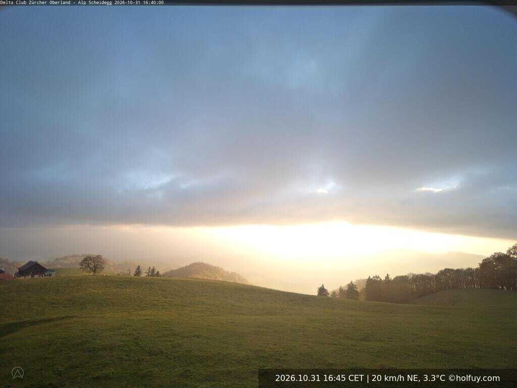 Alp Scheidegg Top - Webcams