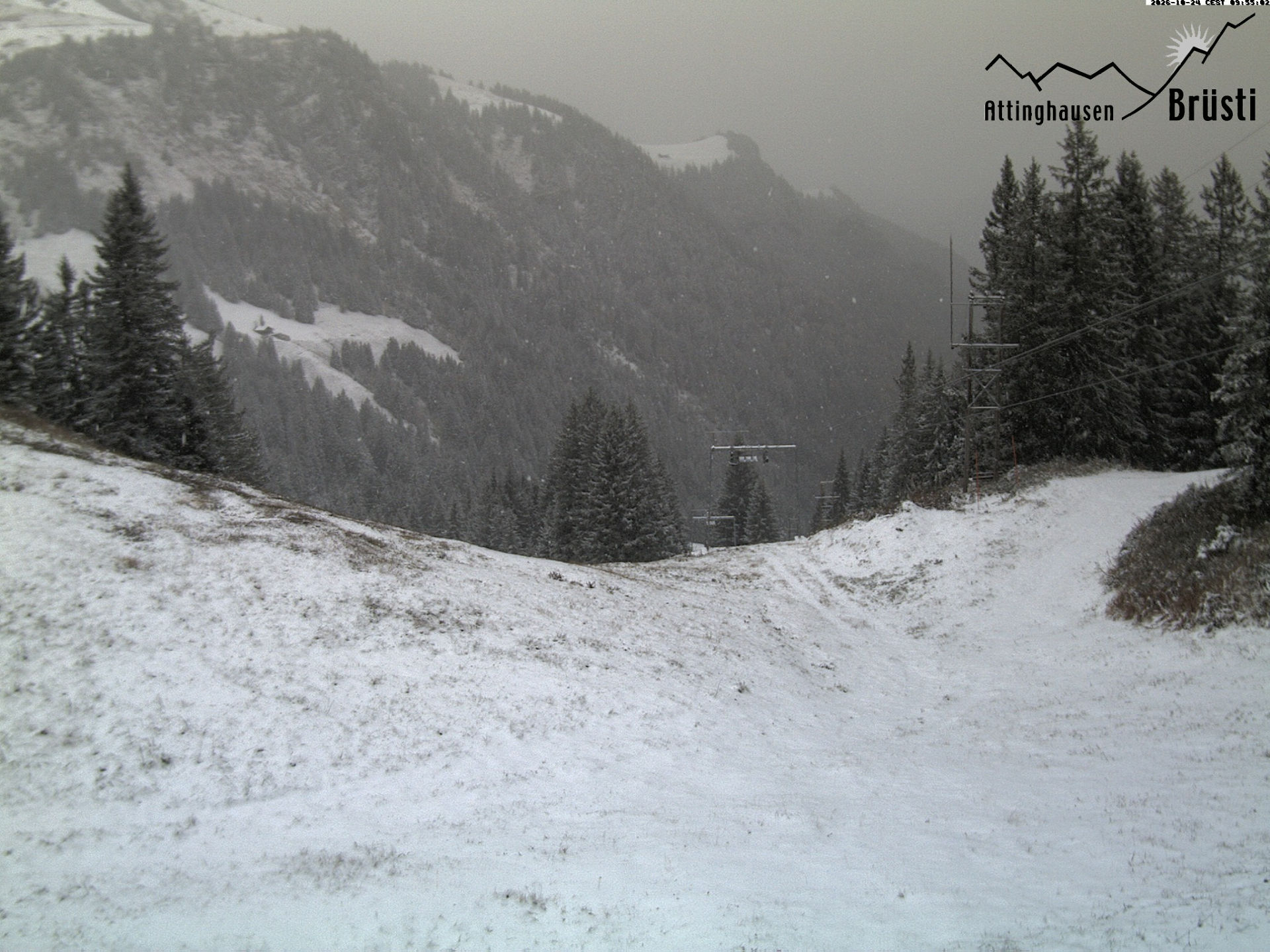 Attinghausen - Brüsti Skilift - Kamera web