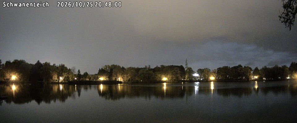 Schwanenteich - Webcams