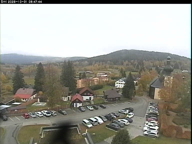 Srní - Webcams