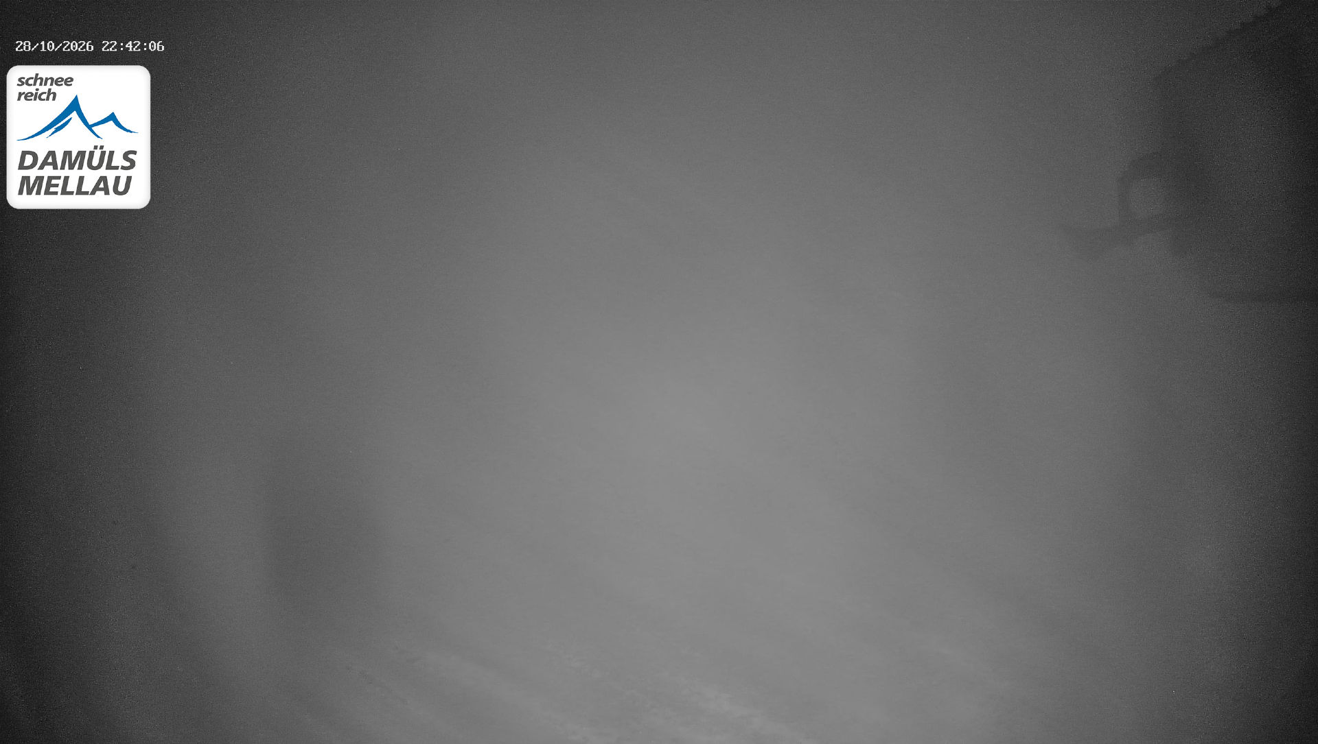 Wildgunten - Yesterday