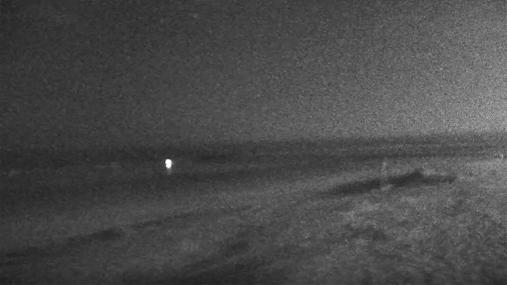 Surfclub - Webcams