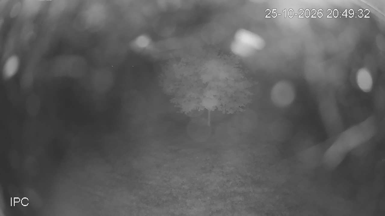 Sezimovo Ústí - koupaliště Pohoda - Webcams
