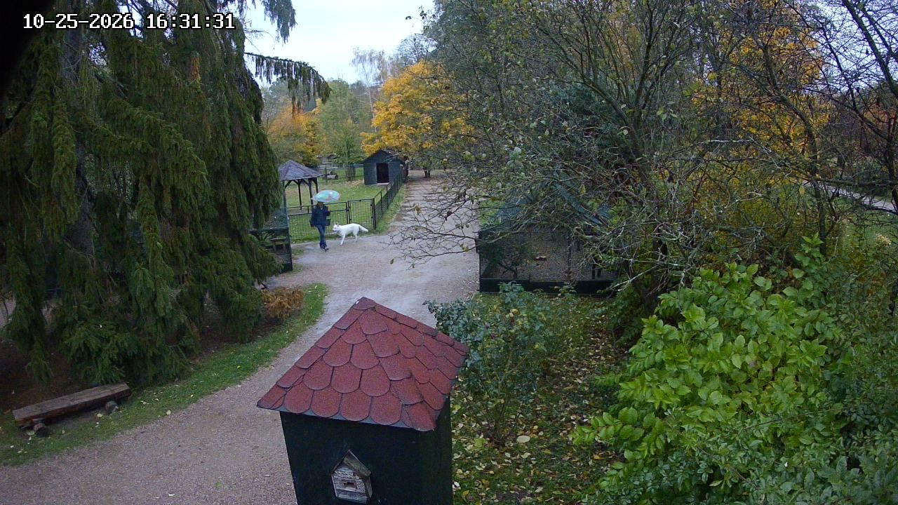 Zámek Častolovice - Webcams
