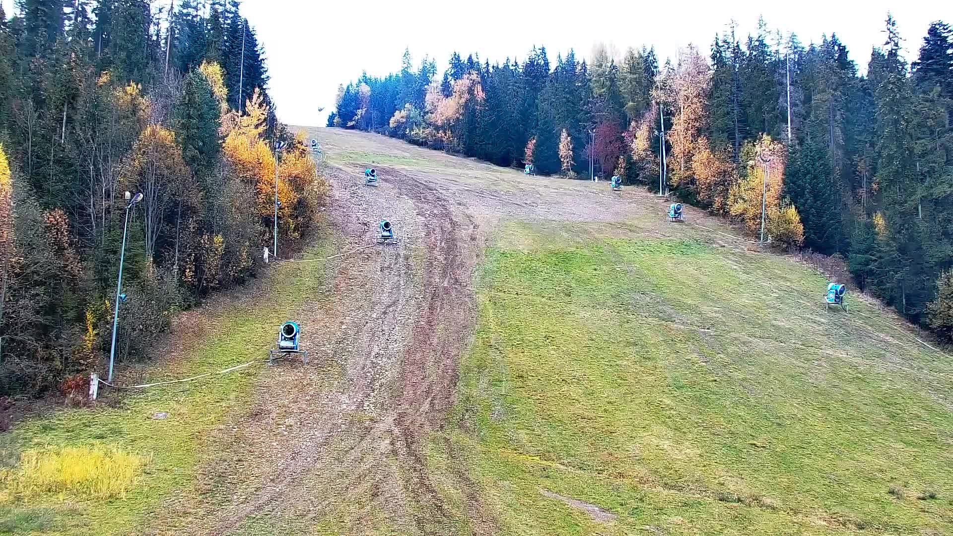 KOTELNICA - Pasieka Express - Webkamery
