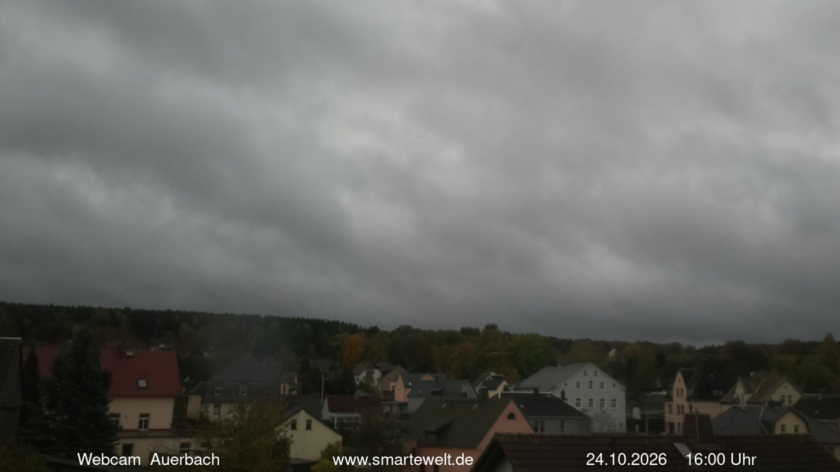 Auerbach - Webcams