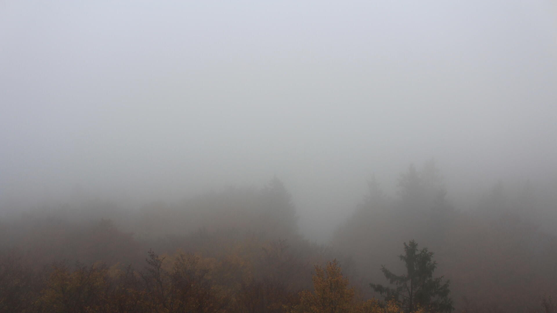 Böhmerwaldturm - Webkameras