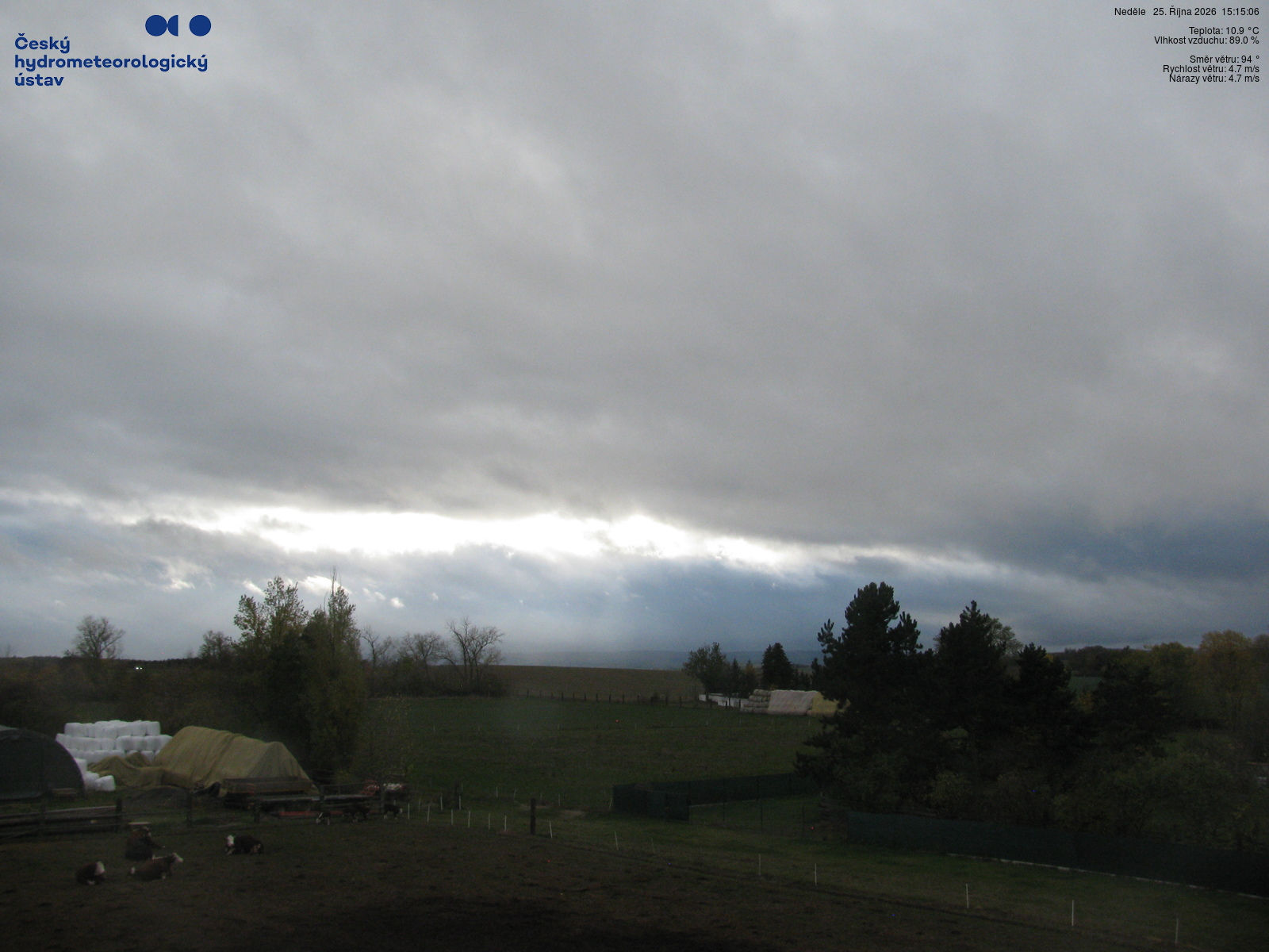 Strojetice - Webcams
