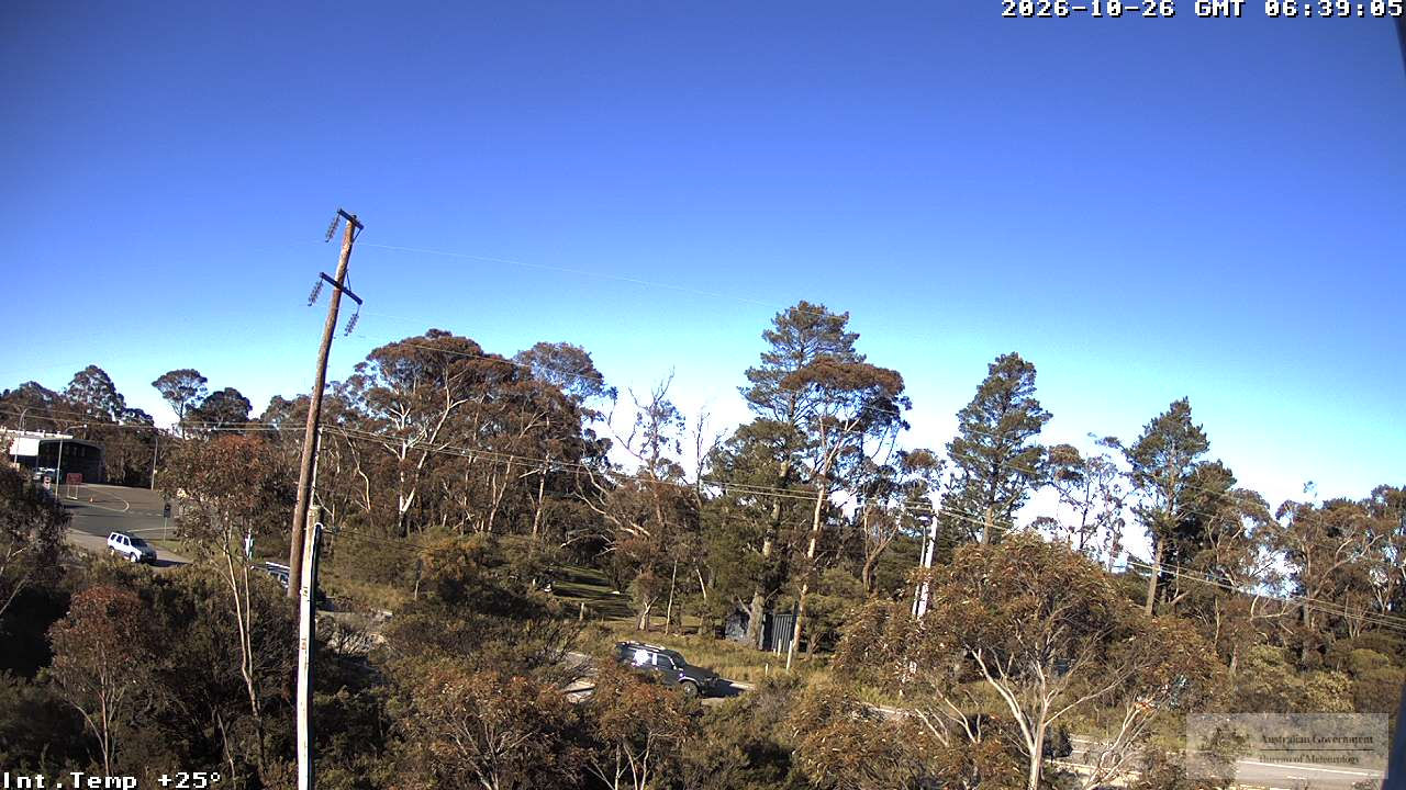 Mount Boyce - Yesterday