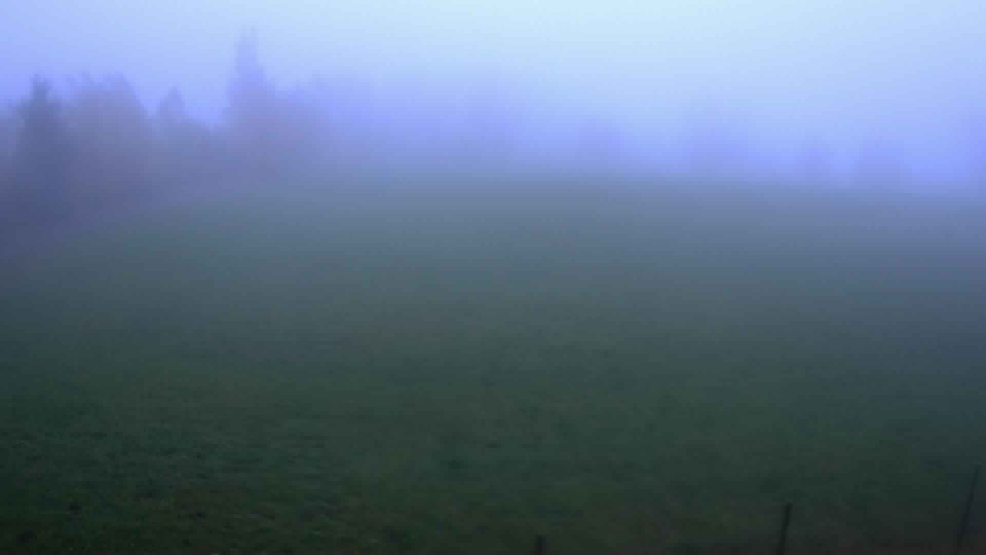 Bohdašín - Webcams
