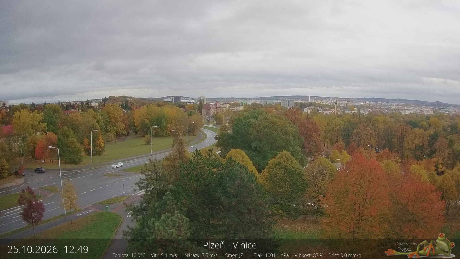 Vinice