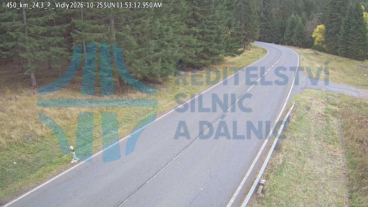 Vidly - včera