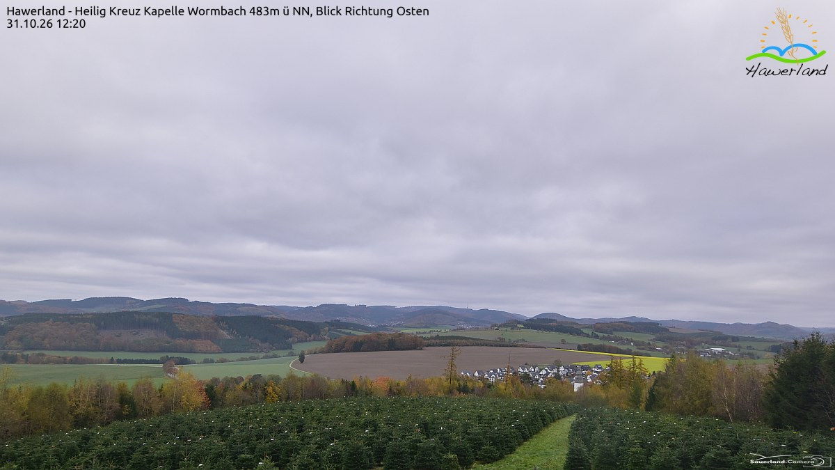 Wormbach Ost - Webcams