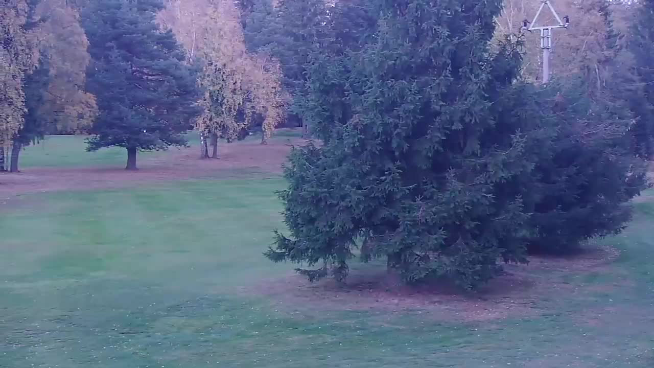 Svratka - Golf Club