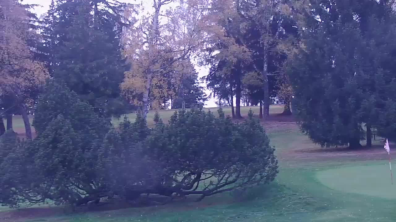 Svratka - Golf Club - Webkamery