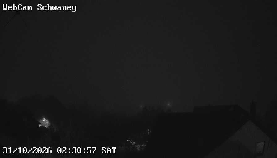 Altenbeken-Schwaney - Webcams