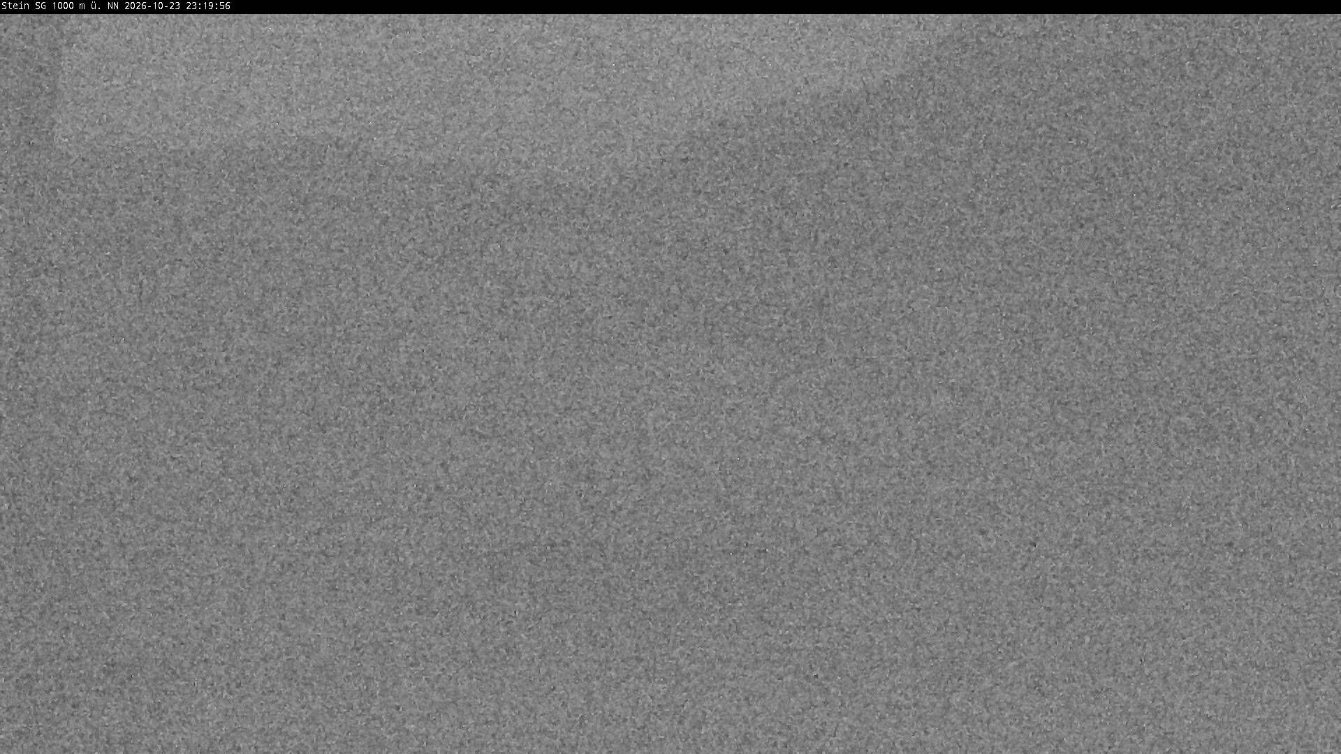 Stein SG - Cam 2 - Kamera web