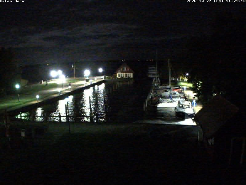 Born a. Darss - Hafen - Webkameras