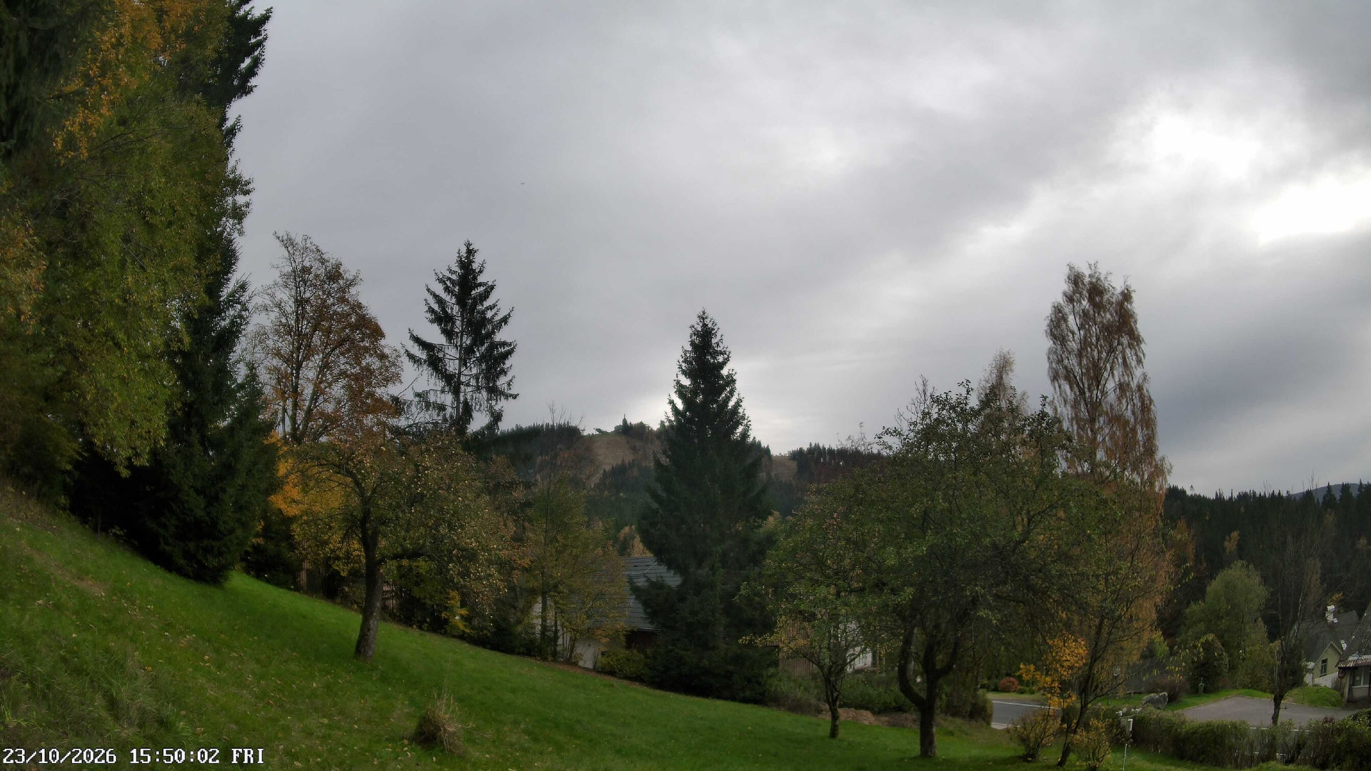 Albrechtice - Kamery internetowe