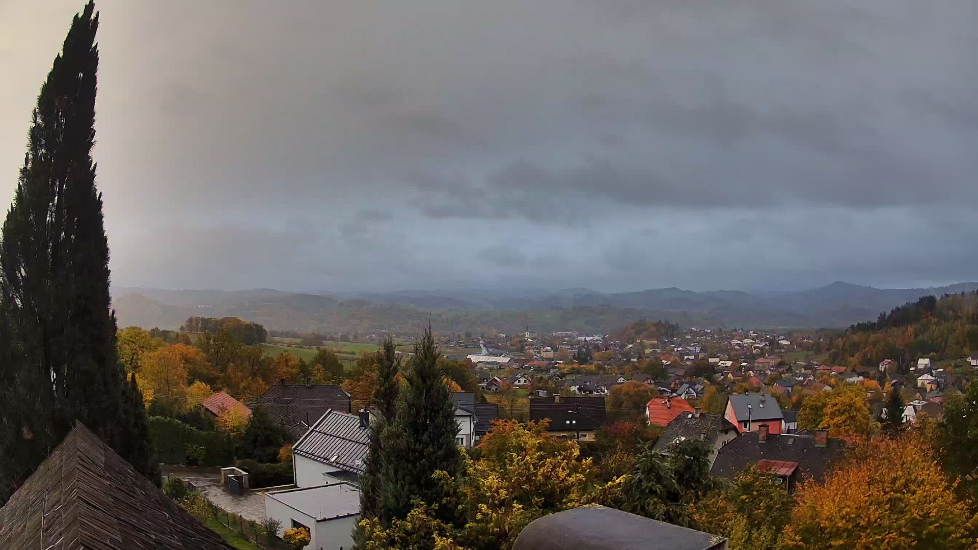 Zubří