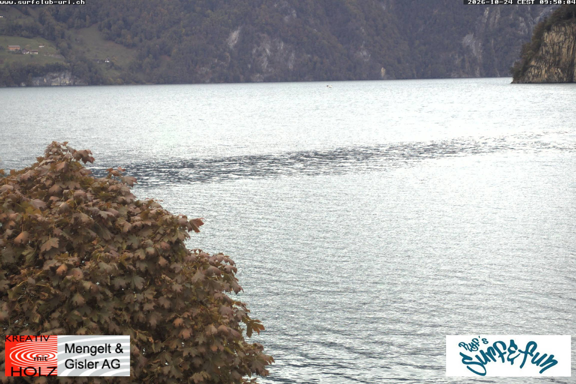 Windsurfing Urnersee - Kamera web