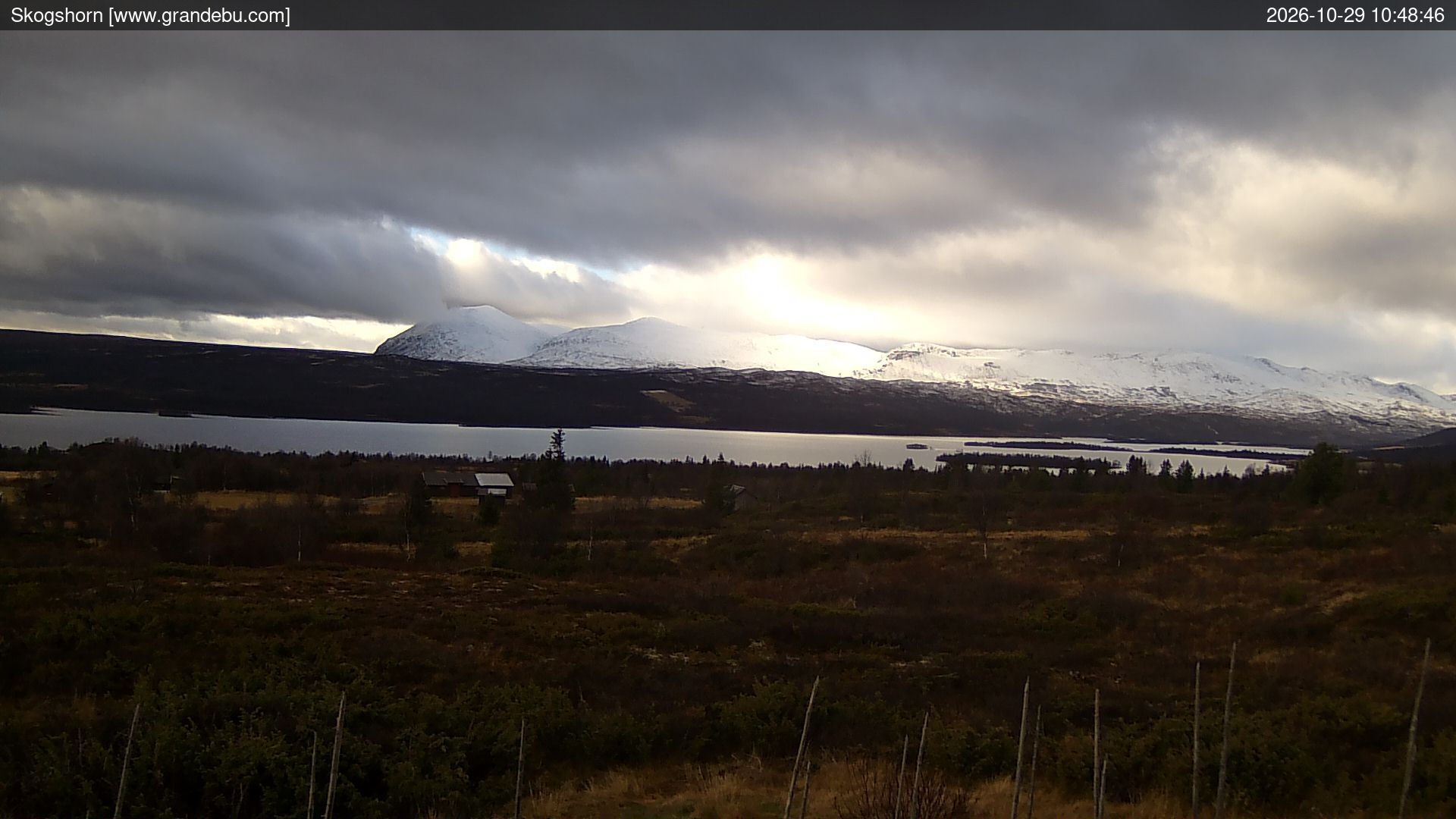 Skogshorn - Webcams