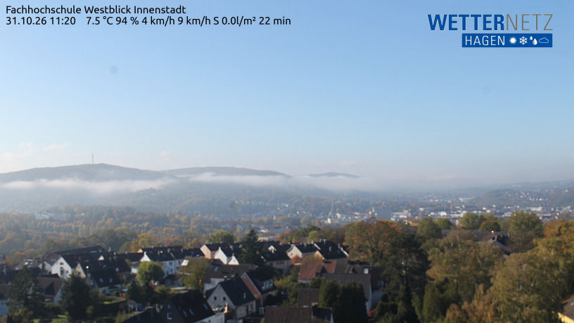 Kratzkopf - Webcams