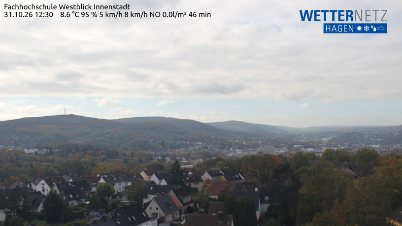 Kratzkopf - Webcams