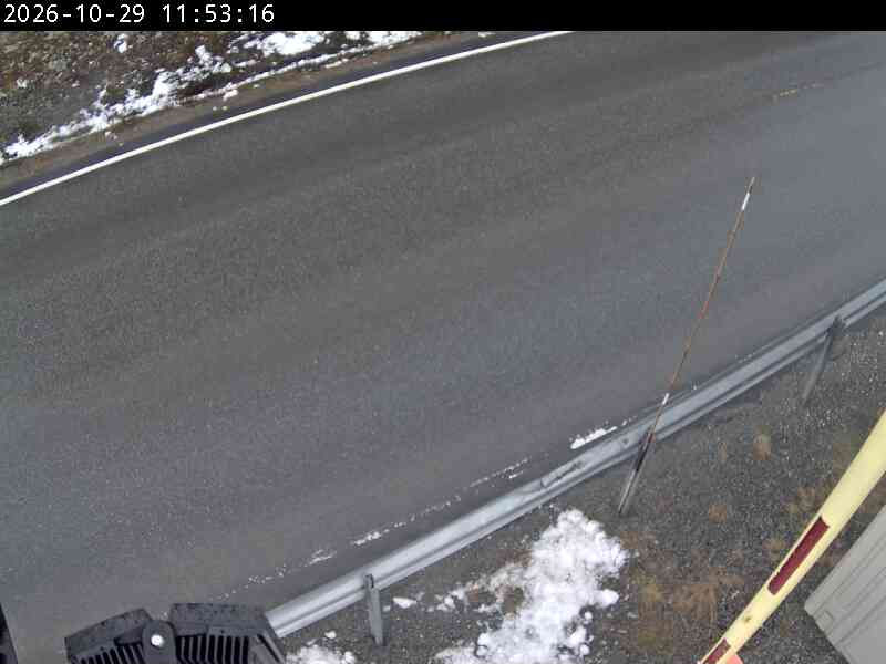 Tyin bom, Innlandet - Webcams