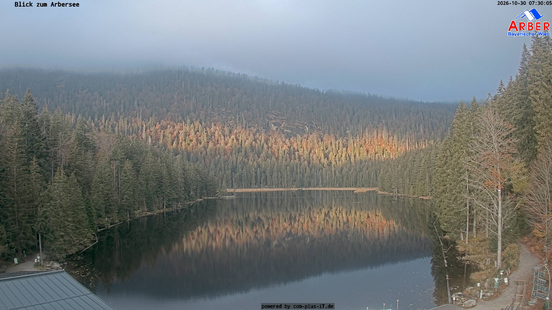 Großer Arbersee - Webkameras