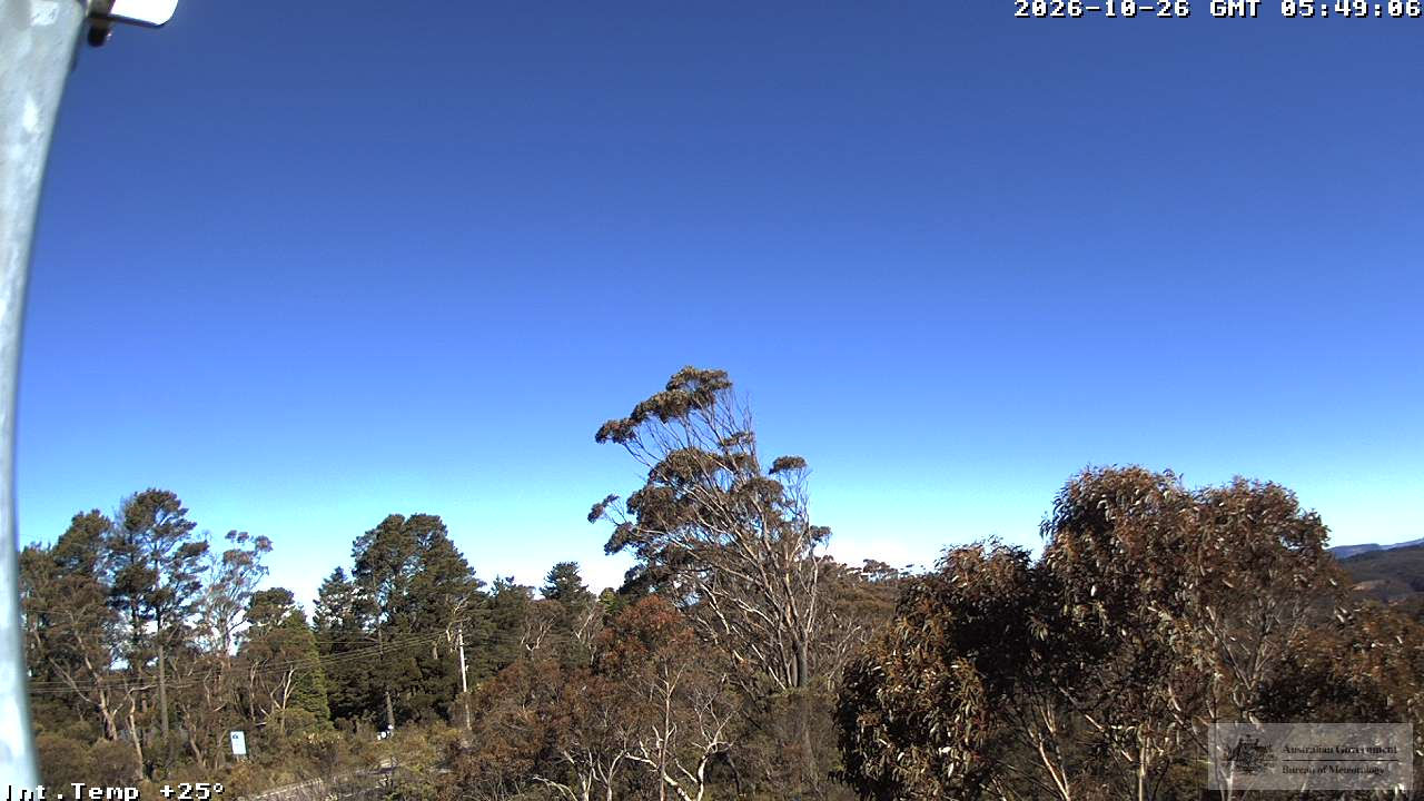 Mount Boyce - Yesterday