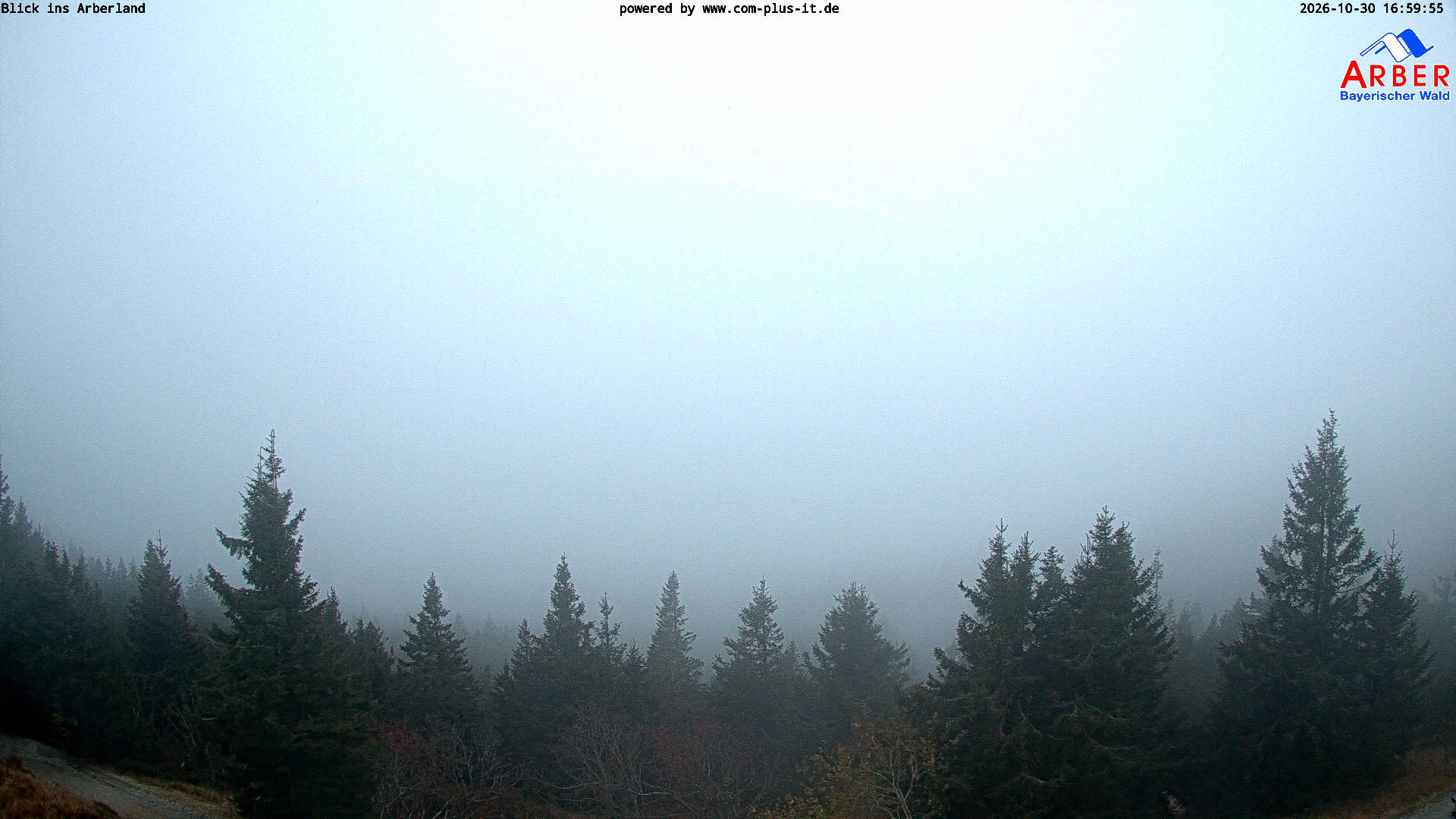 Großer Arber - Yesterday