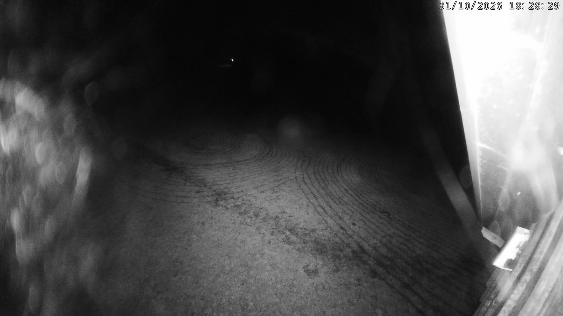Bäretswil - Ghöch Piste - Webcams