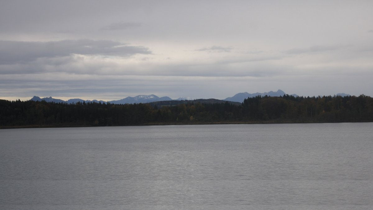 Hartsee - Webkameras