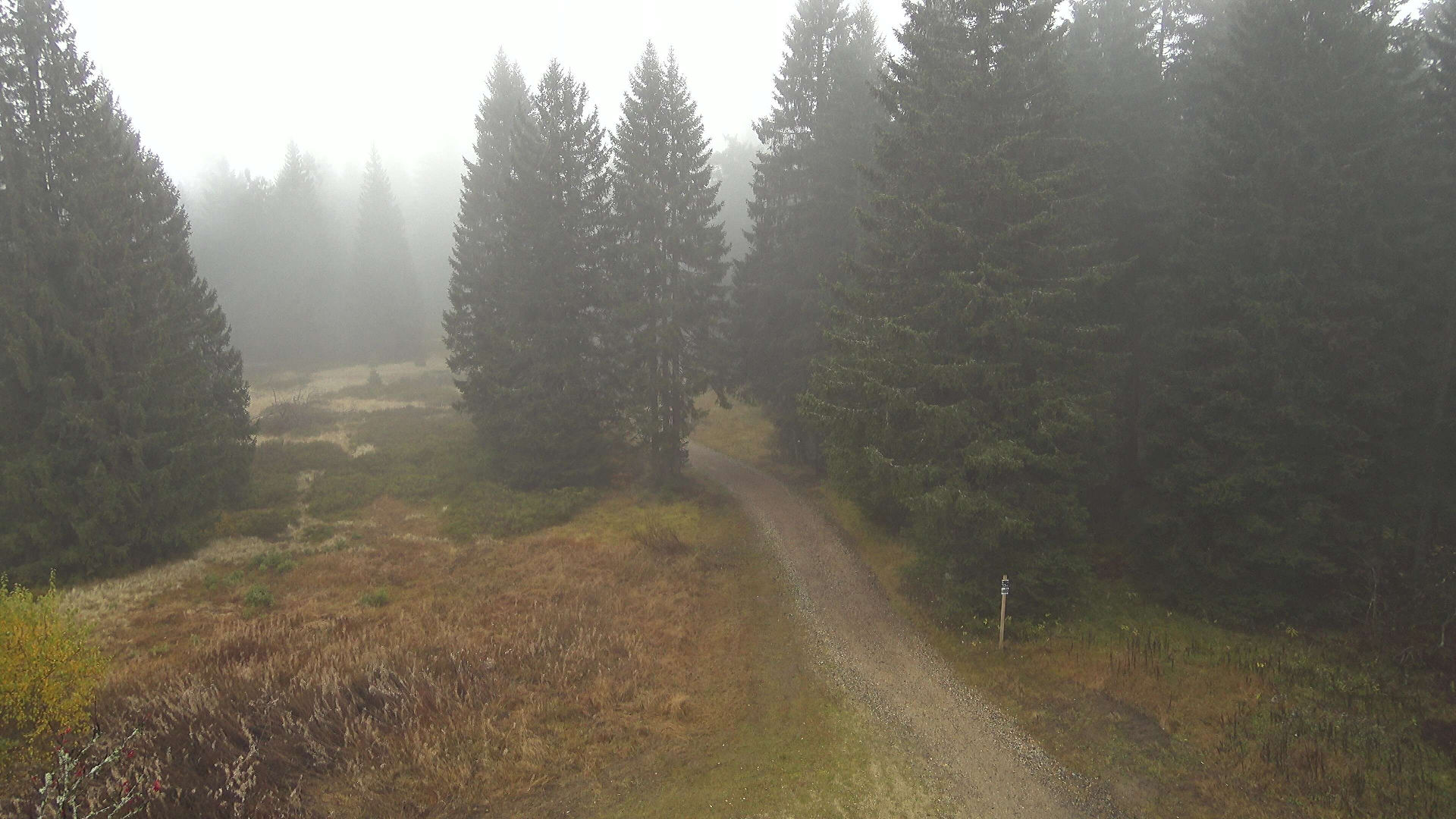 Chamer Hütte - Webcams